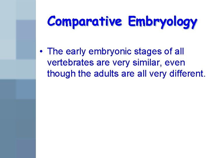 Comparative Embryology • The early embryonic stages of all vertebrates are very similar, even