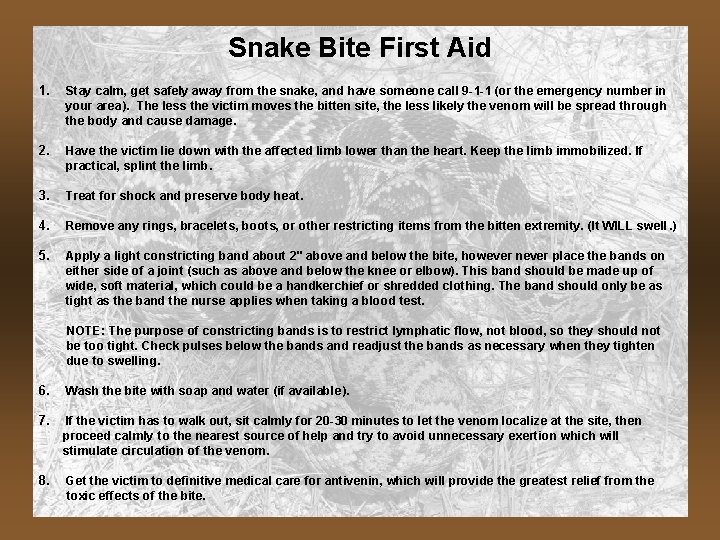 Snake Bite First Aid 1. Stay calm, get safely away from the snake, and