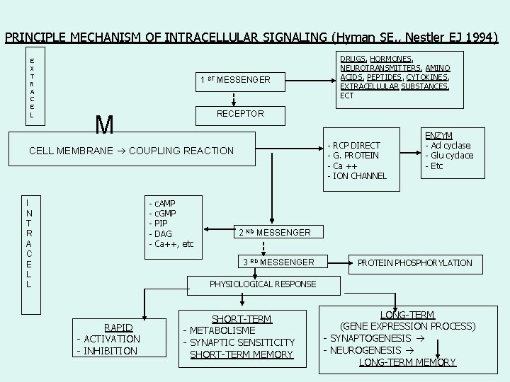 PRINCIPLE MECHANISM OF INTRACELLULAR SIGNALING (Hyman SE. , Nestler EJ 1994) E X T