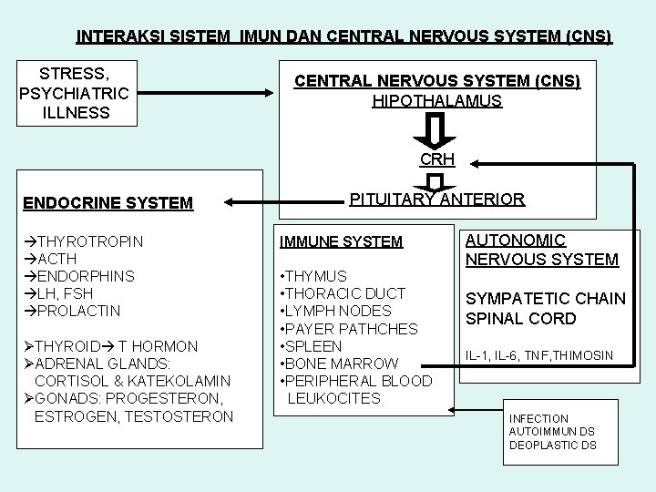 INTERAKSI SISTEM IMUN DAN CENTRAL NERVOUS SYSTEM (CNS) STRESS, PSYCHIATRIC ILLNESS CENTRAL NERVOUS SYSTEM