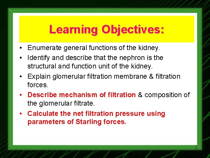 Learning Objectives: • Enumerate general functions of the kidney. • Identify and describe that