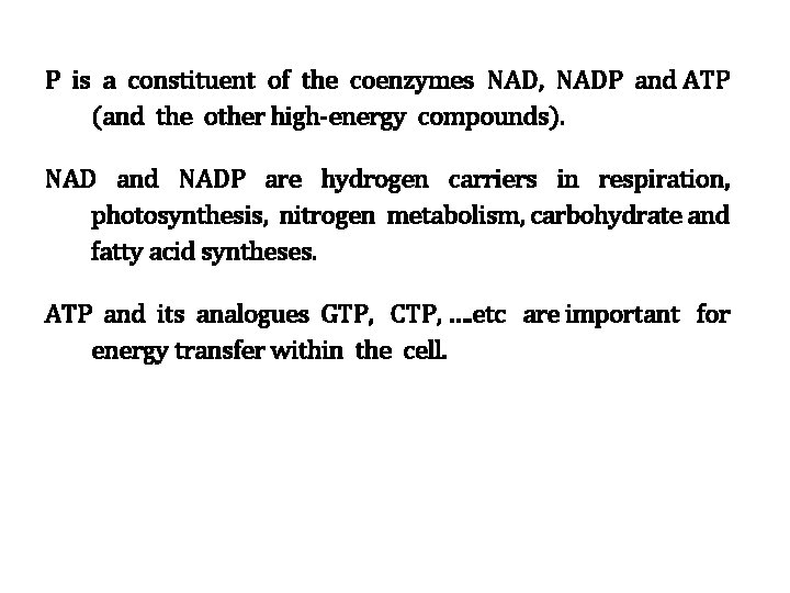 P is a constituent of the coenzymes NAD, NADP and ATP (and the other