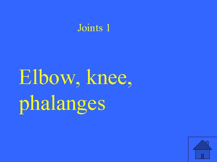 Joints 1 Elbow, knee, phalanges 