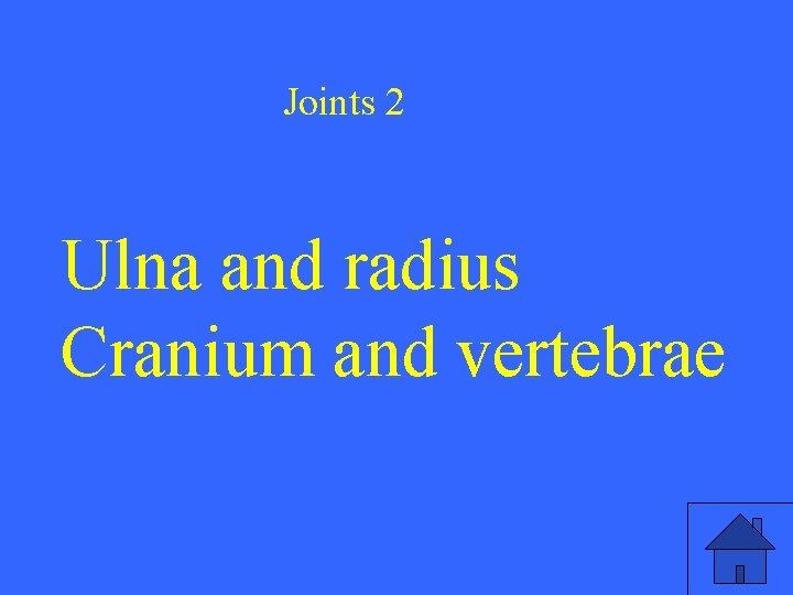 Joints 2 Ulna and radius Cranium and vertebrae 