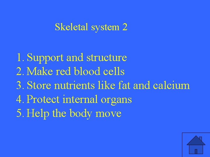 Skeletal system 2 1. Support and structure 2. Make red blood cells 3. Store