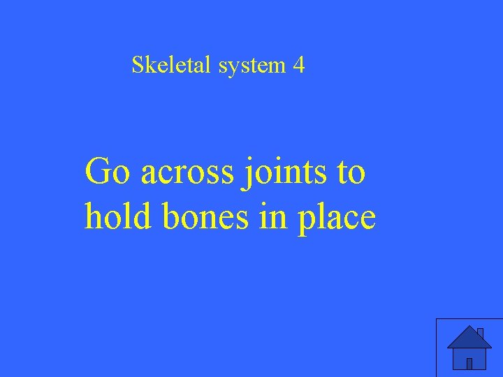 Skeletal system 4 Go across joints to hold bones in place 