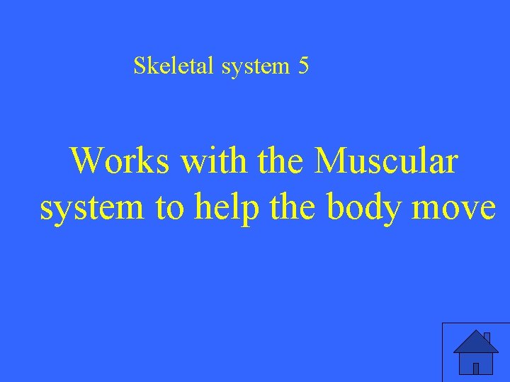 Skeletal system 5 Works with the Muscular system to help the body move 