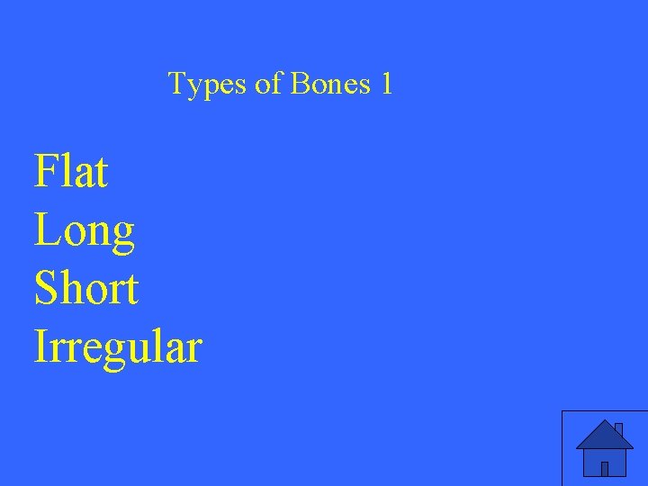 Types of Bones 1 Flat Long Short Irregular 