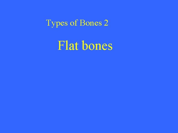 Types of Bones 2 Flat bones 