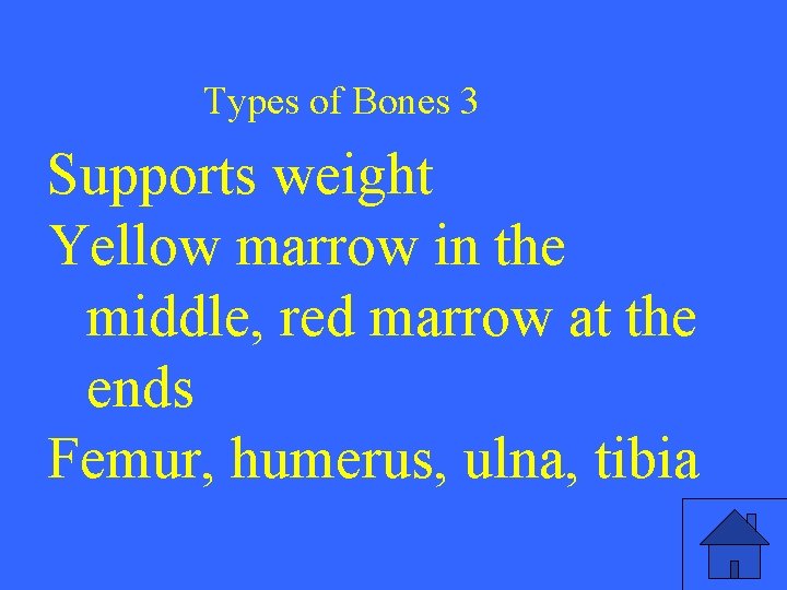 Types of Bones 3 Supports weight Yellow marrow in the middle, red marrow at