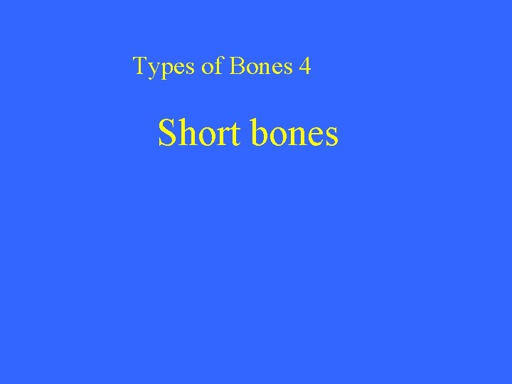 Types of Bones 4 Short bones 
