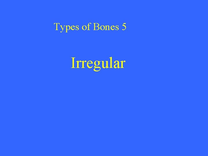 Types of Bones 5 Irregular 