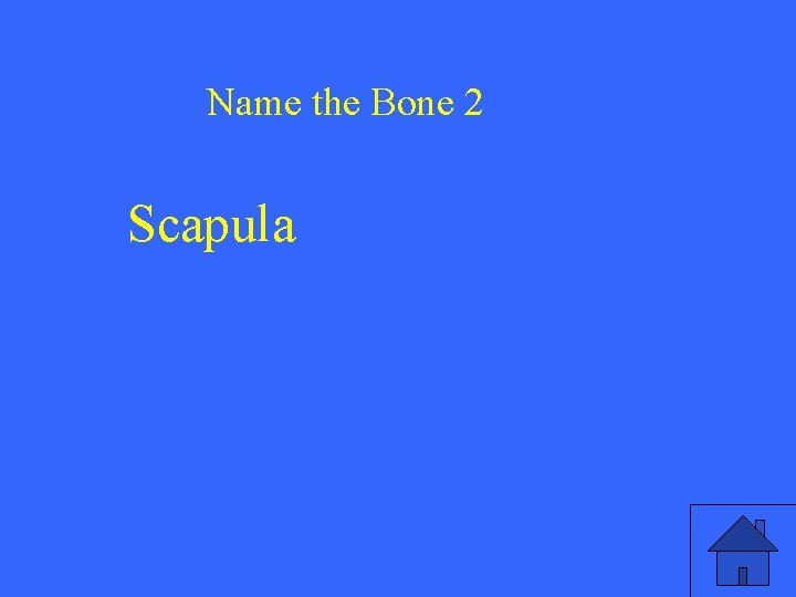 Name the Bone 2 Scapula 