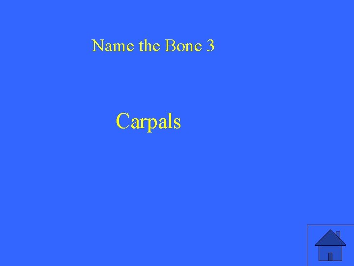 Name the Bone 3 Carpals 