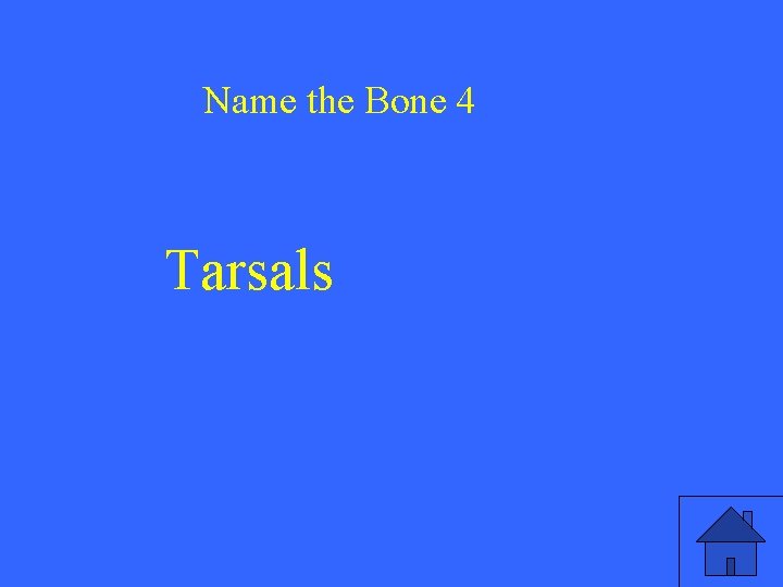Name the Bone 4 Tarsals 