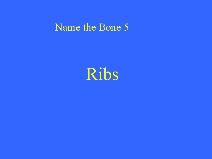 Name the Bone 5 Ribs 