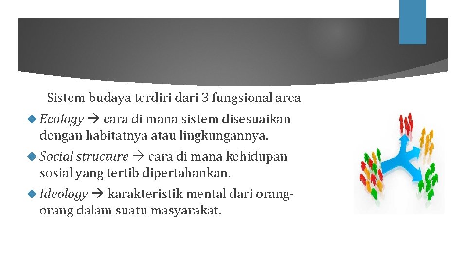 Sistem budaya terdiri dari 3 fungsional area Ecology cara di mana sistem disesuaikan dengan