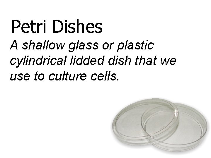 Petri Dishes A shallow glass or plastic cylindrical lidded dish that we use to