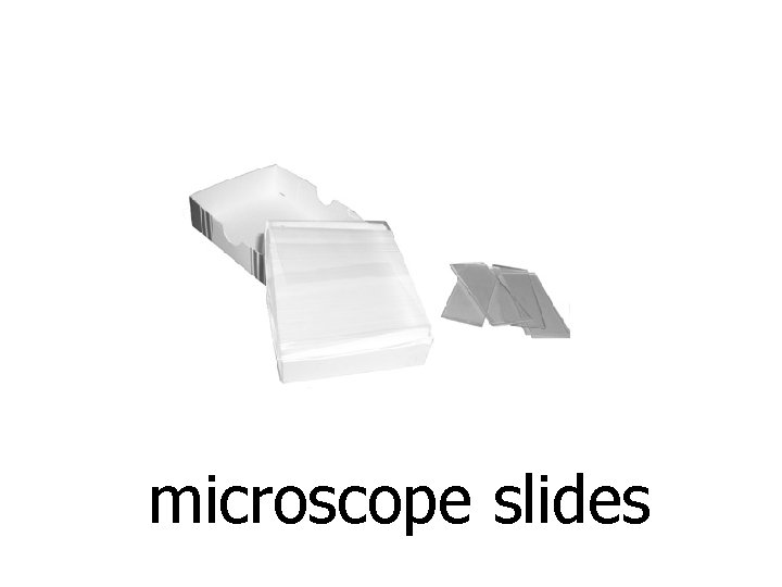 microscope slides 