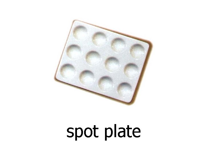 spot plate 