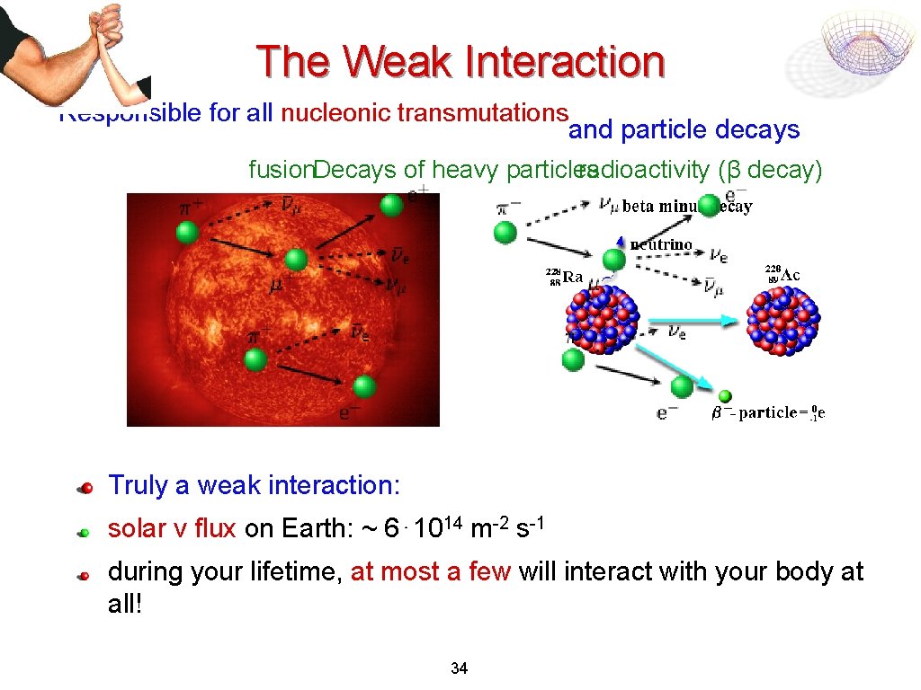 The Weak Interaction Responsible for all nucleonic transmutations and particle decays fusion. Decays of