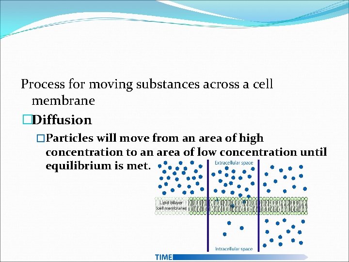 Process for moving substances across a cell membrane �Diffusion �Particles will move from an