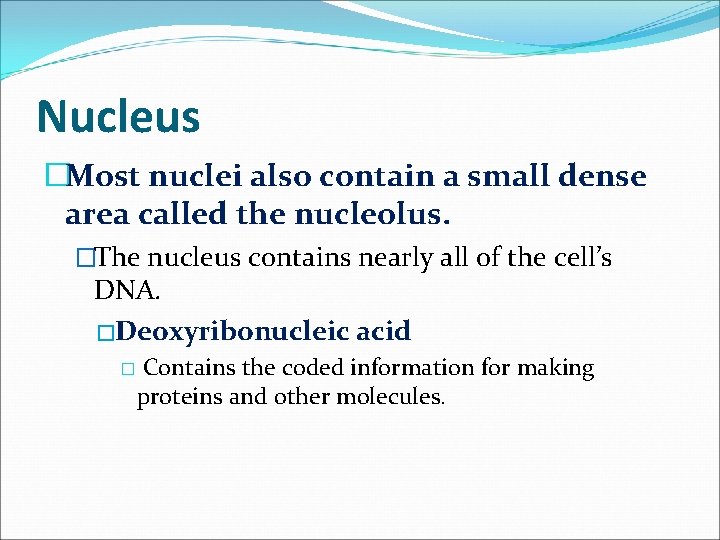 Nucleus �Most nuclei also contain a small dense area called the nucleolus. �The nucleus