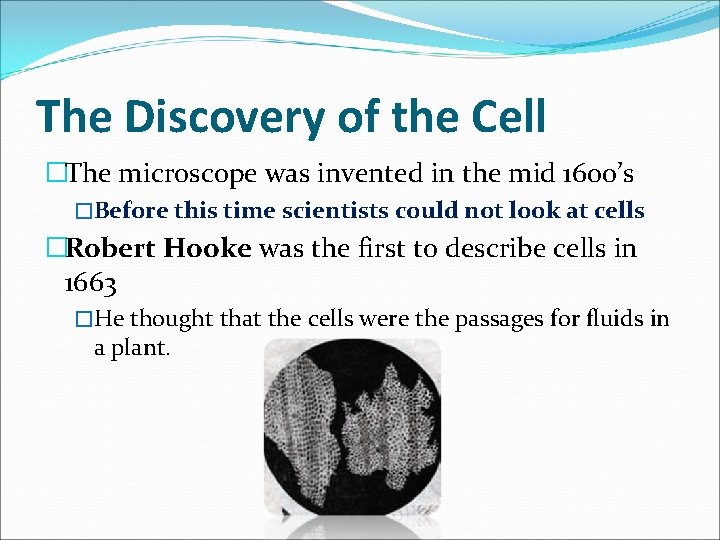 The Discovery of the Cell �The microscope was invented in the mid 1600’s �Before