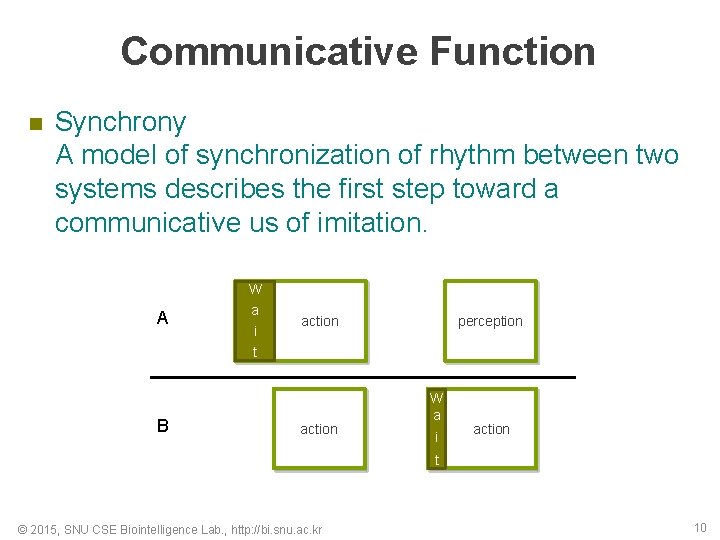 Communicative Function n Synchrony A model of synchronization of rhythm between two systems describes