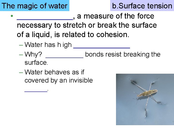 The magic of water b. Surface tension • _______, a measure of the force
