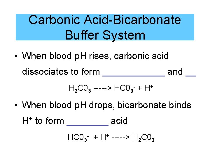 Carbonic Acid-Bicarbonate Buffer System • When blood p. H rises, carbonic acid dissociates to