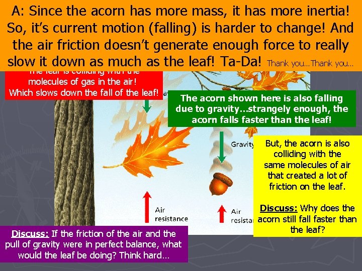 A: Since the acorn has more mass, it has more inertia! Gravity and Friction
