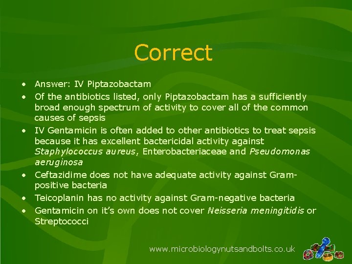 Correct • Answer: IV Piptazobactam • Of the antibiotics listed, only Piptazobactam has a