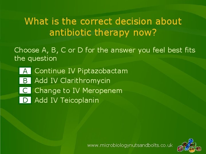 What is the correct decision about antibiotic therapy now? Choose A, B, C or