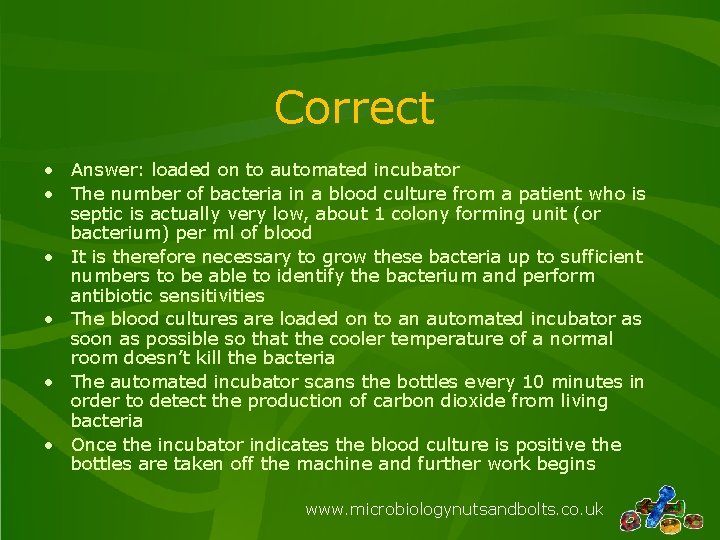 Correct • Answer: loaded on to automated incubator • The number of bacteria in
