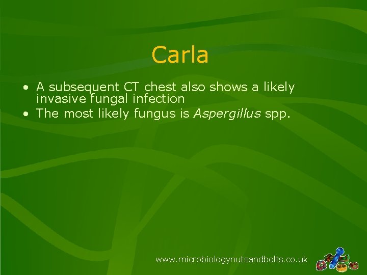 Carla • A subsequent CT chest also shows a likely invasive fungal infection •