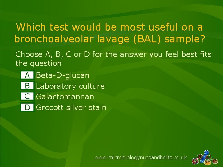Which test would be most useful on a bronchoalveolar lavage (BAL) sample? Choose A,