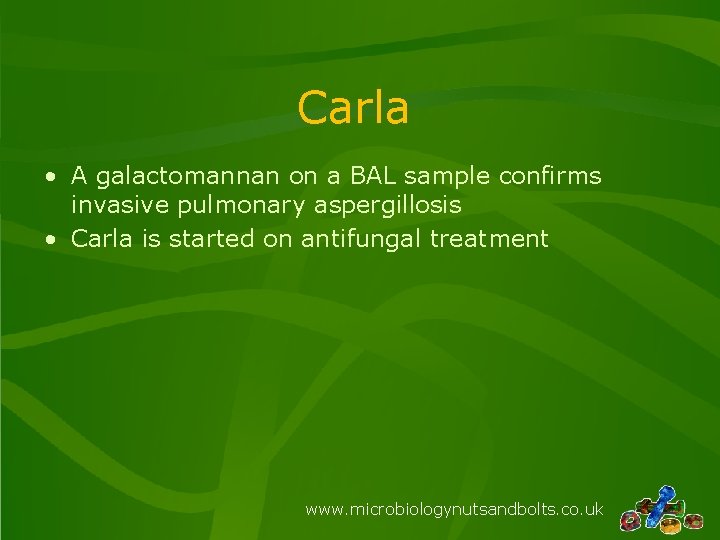 Carla • A galactomannan on a BAL sample confirms invasive pulmonary aspergillosis • Carla