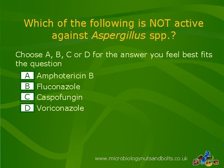 Which of the following is NOT active against Aspergillus spp. ? Choose A, B,