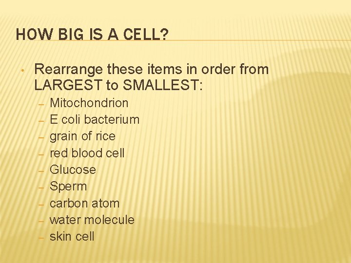 HOW BIG IS A CELL? • Rearrange these items in order from LARGEST to HOW BIG IS A CELL? • Rearrange these items in order from LARGEST to