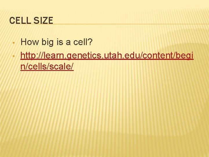 CELL SIZE • • How big is a cell? http: //learn. genetics. utah. edu/content/begi CELL SIZE • • How big is a cell? http: //learn. genetics. utah. edu/content/begi