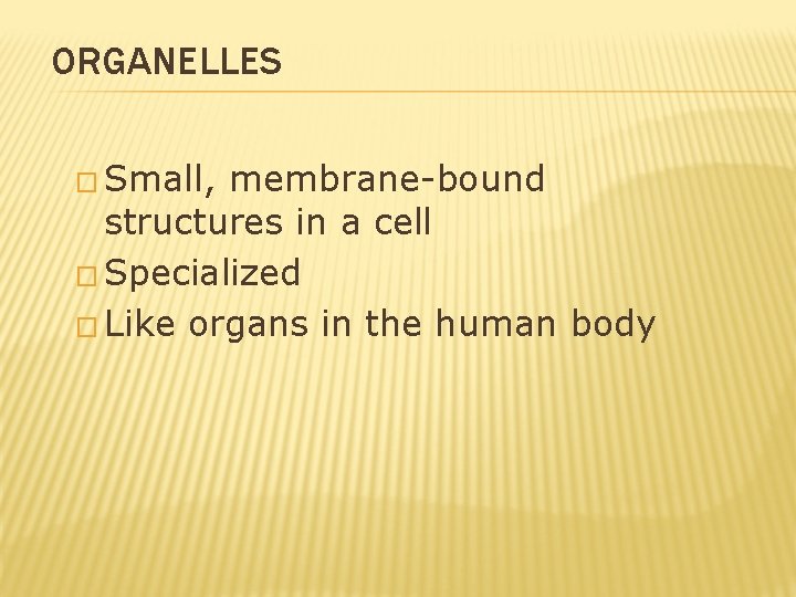 ORGANELLES � Small, membrane-bound structures in a cell � Specialized � Like organs in ORGANELLES � Small, membrane-bound structures in a cell � Specialized � Like organs in