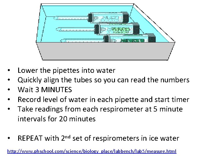  • • • Lower the pipettes into water Quickly align the tubes so