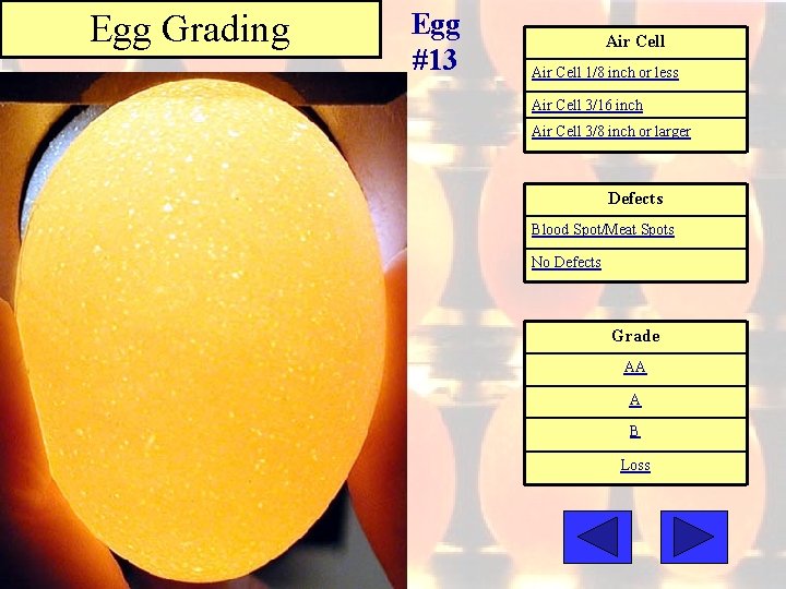 Egg Grading Egg #13 Air Cell 1/8 inch or less Air Cell 3/16 inch