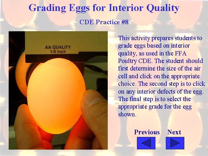 Grading Eggs for Interior Quality CDE Practice #8 This activity prepares students to grade