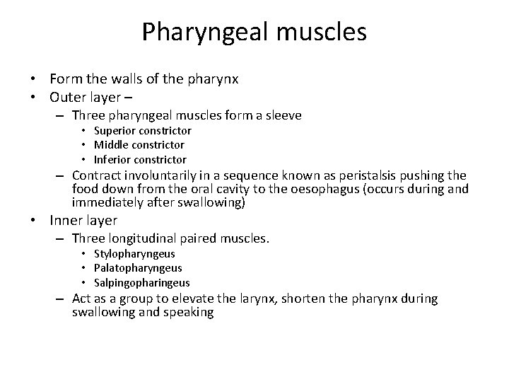 Pharyngeal muscles • Form the walls of the pharynx • Outer layer – –