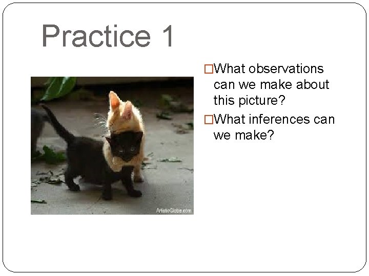 Practice 1 �What observations can we make about this picture? �What inferences can we