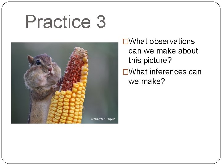 Practice 3 �What observations can we make about this picture? �What inferences can we