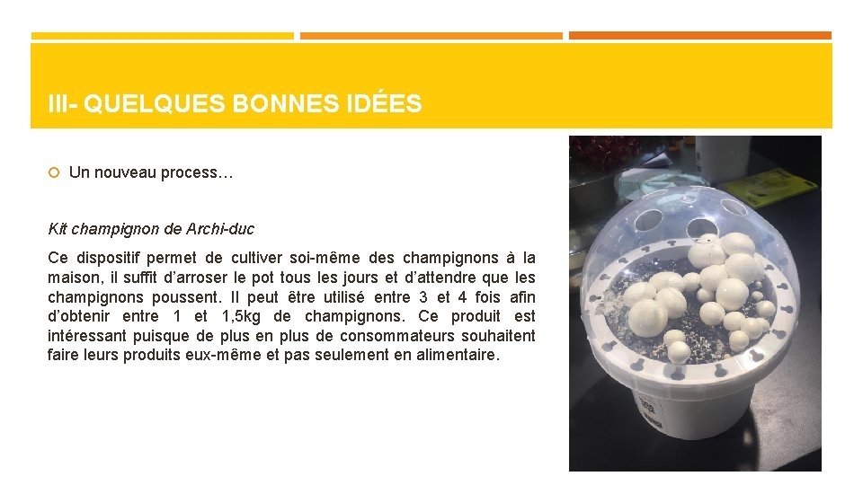 III- QUELQUES BONNES IDÉES Un nouveau process… Kit champignon de Archi-duc Ce dispositif permet