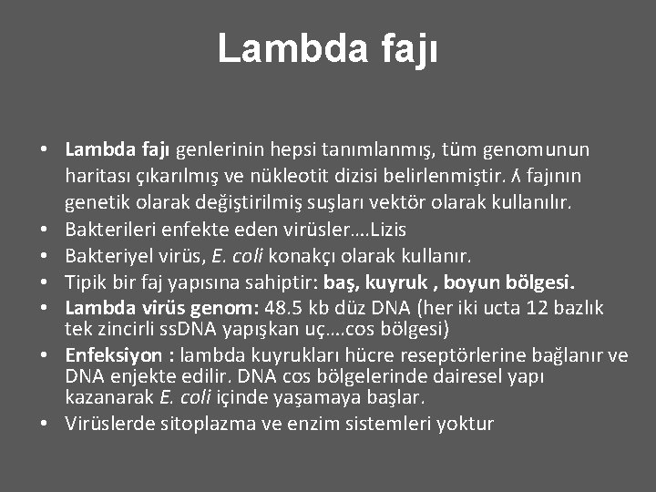 Lambda fajı • Lambda fajı genlerinin hepsi tanımlanmış, tüm genomunun haritası çıkarılmış ve nükleotit